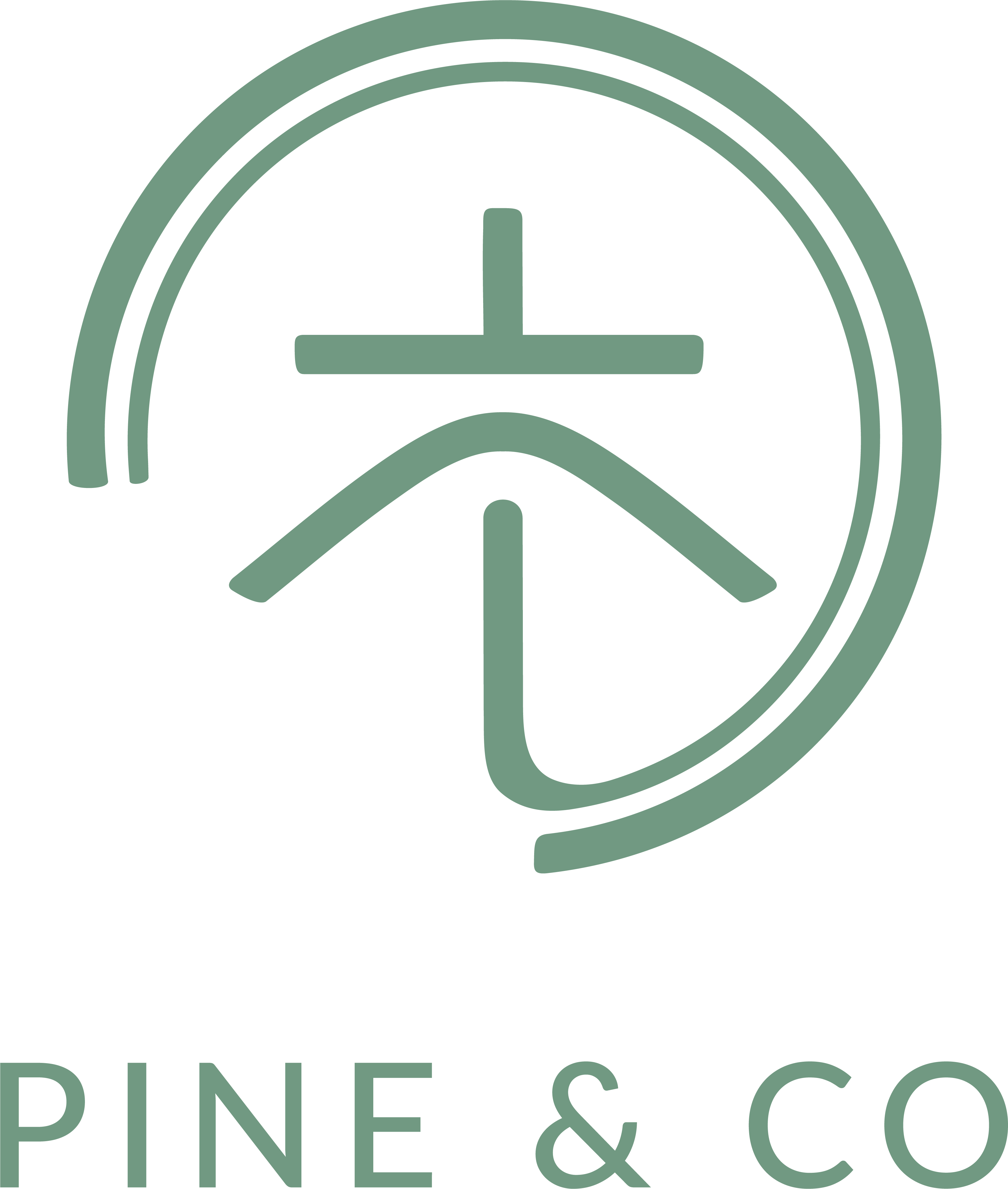 Pine & Co