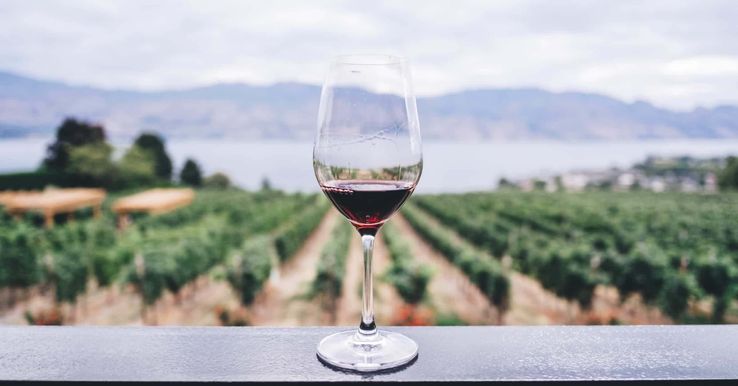wine health, benefits of wine
