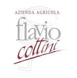FLAVIO COTTINI