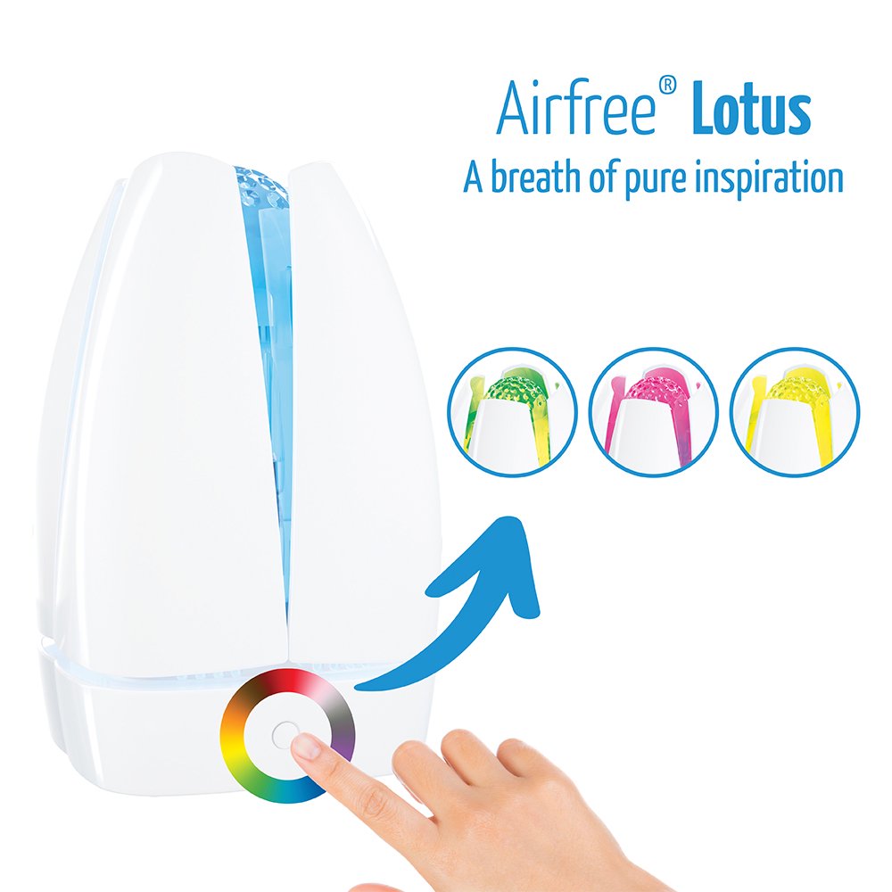 Airfree lotus outlet